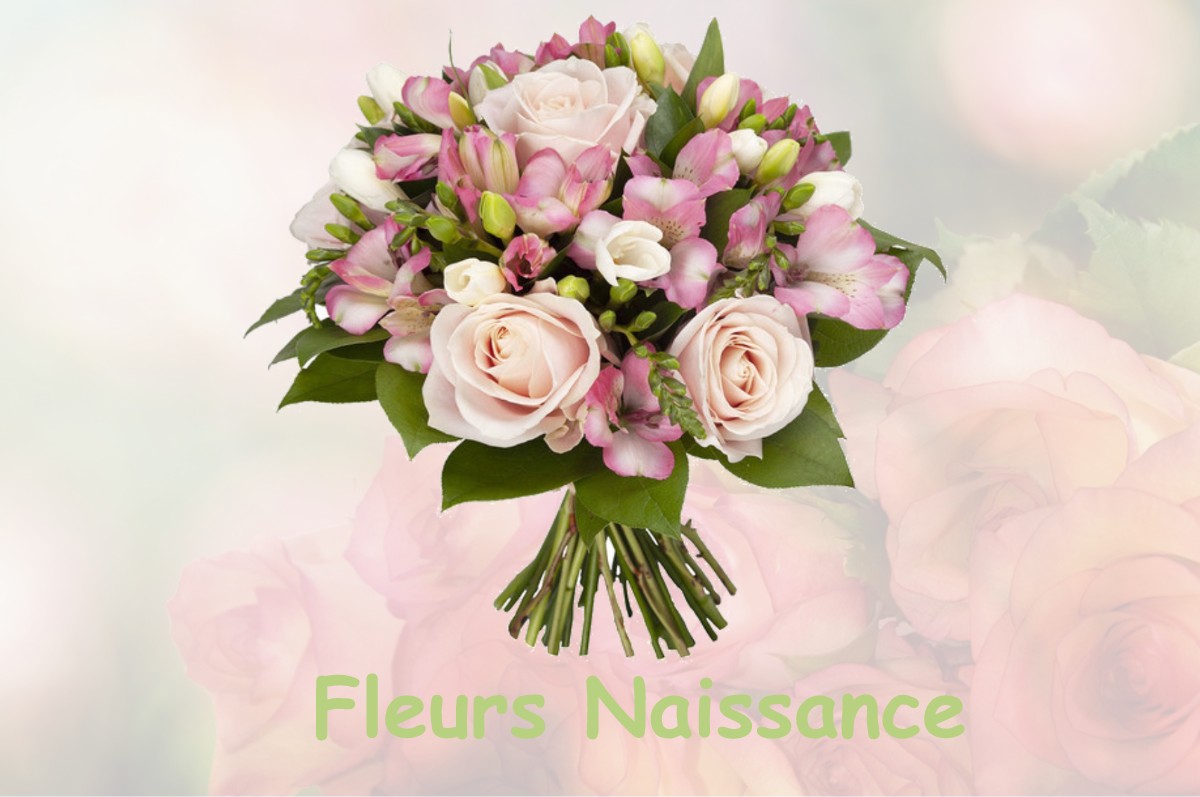 fleurs naissance VENELLES