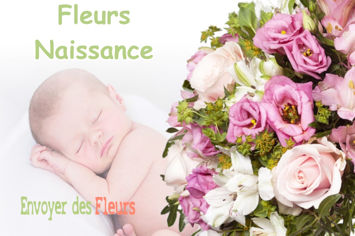 lIVRAISON FLEURS NAISSANCE à VENELLES